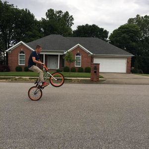 Meet your Posher, Owen